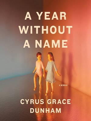 cover image of A Year Without a Name
